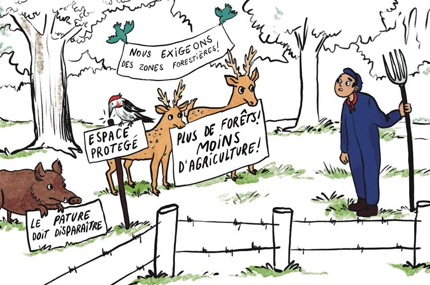 Certaines terres agricoles peuvent-elles être expropriées pour des raisons de boisement et la production de nature ?